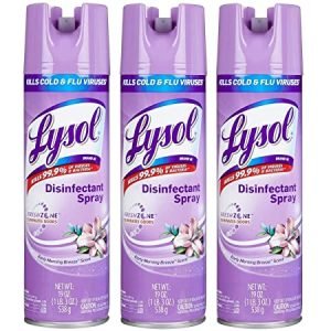 GlobalNiche® A World Of Deals Lysol Disinfectant Spray, Morning Breeze, 19 oz. , 3 Count